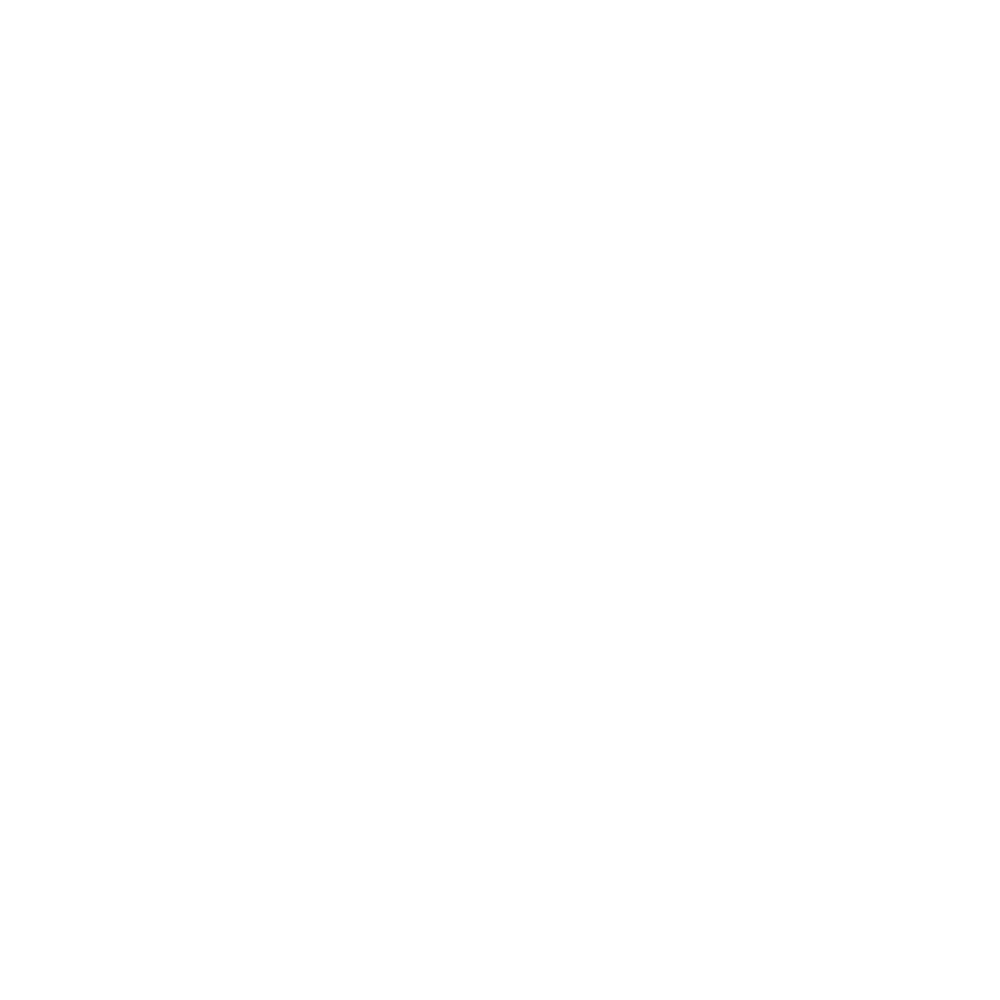 Executive Mandate
